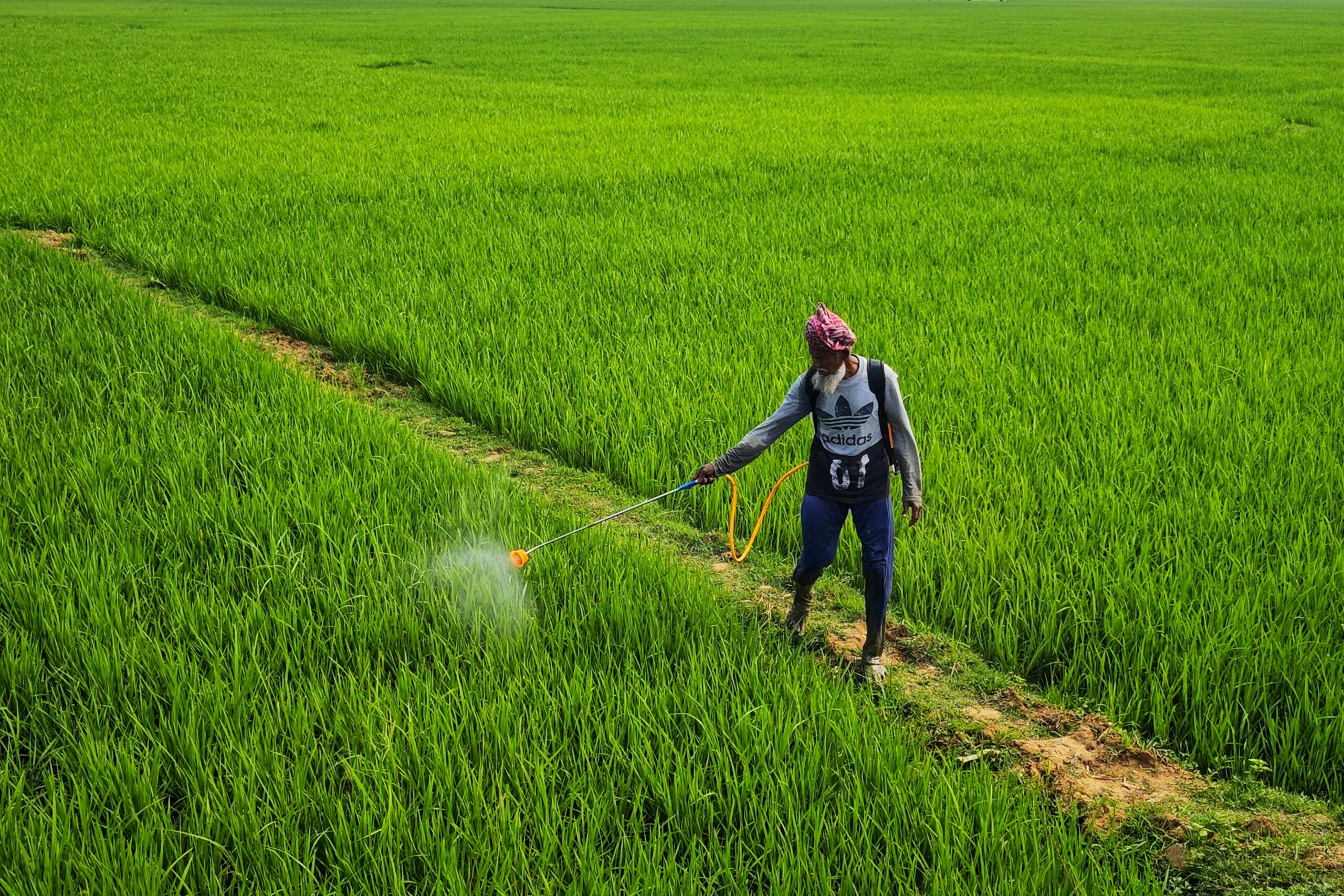 New study advances science linking pesticide exposures to cancer
