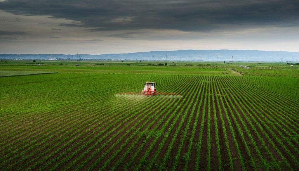 getty-images-EHt4BHbdEUg-unsplash