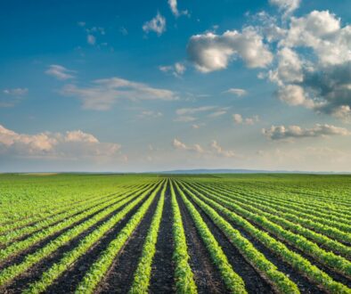 getty-images-U37olHKr-Hg-unsplash