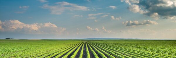 getty-images-U37olHKr-Hg-unsplash