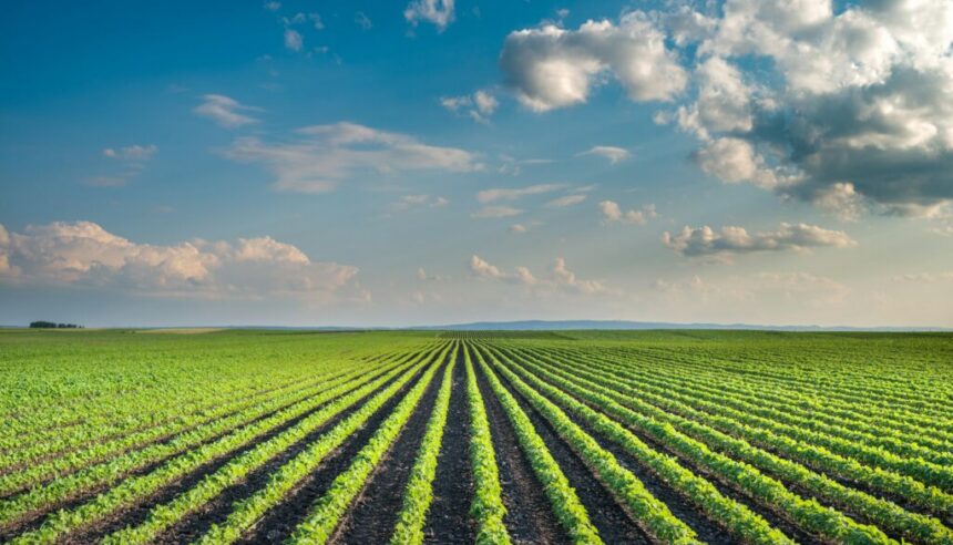 getty-images-U37olHKr-Hg-unsplash