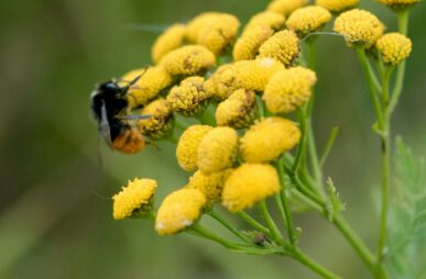 sandra-seitamaa-2VmPsHzI5aY-unsplash