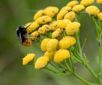 sandra-seitamaa-2VmPsHzI5aY-unsplash