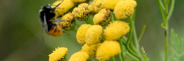 sandra-seitamaa-2VmPsHzI5aY-unsplash