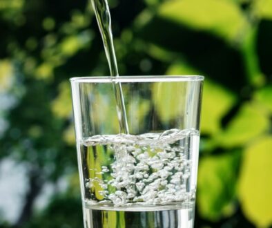 curated-lifestyle-4MFSILQfnb8-unsplash