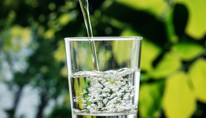 curated-lifestyle-4MFSILQfnb8-unsplash