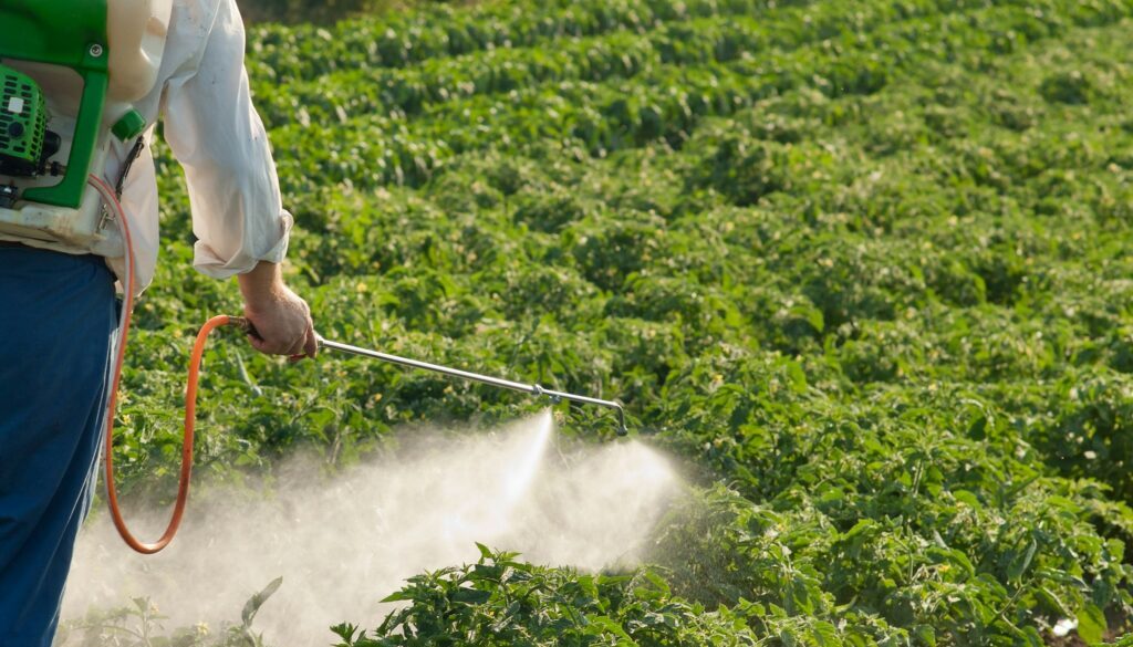 getty-images-GTIPJRsLh_Q-unsplash