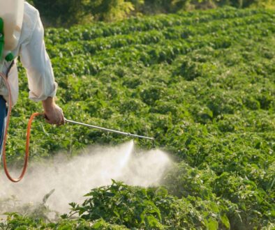 getty-images-GTIPJRsLh_Q-unsplash