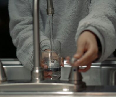 shttefan-GhmGy45ZEwQ-unsplash