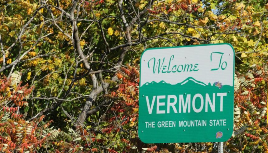 laura-mann-K5o_UyP6fq8-unsplash
