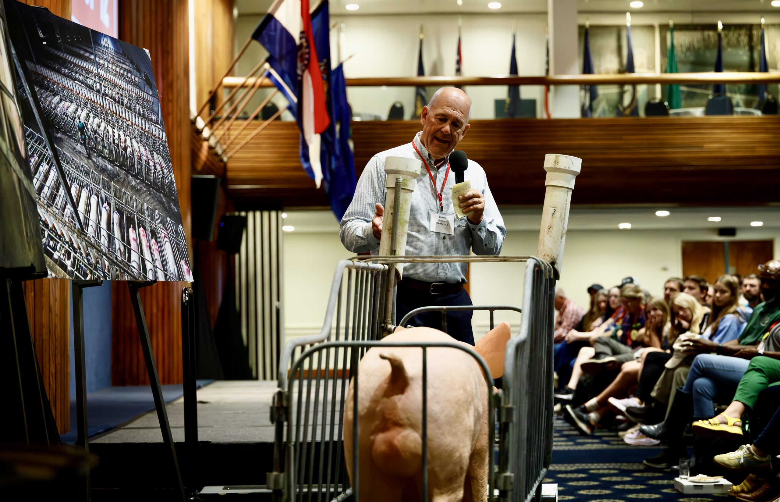 Hog farmers reject push to undo state animal welfare standards