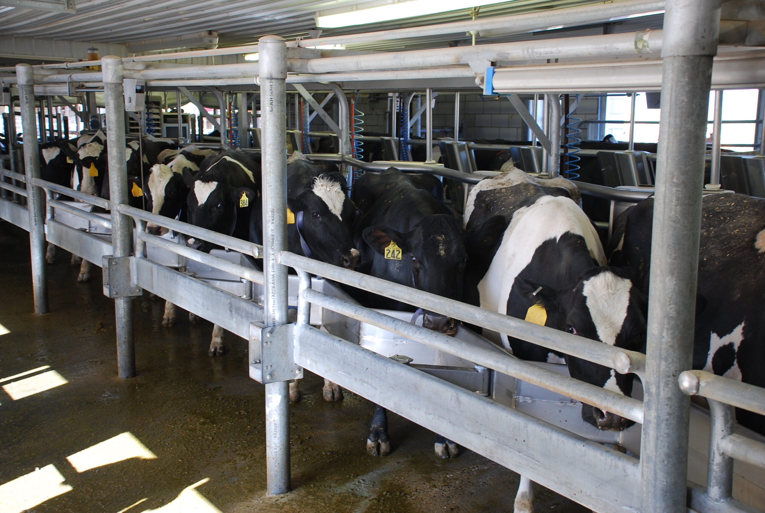 Manure digesters spur dairy farm expansion in California, study finds