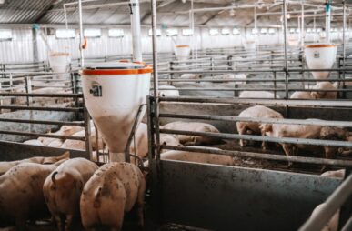 getty-images-5cJ64lSsfpU-unsplash