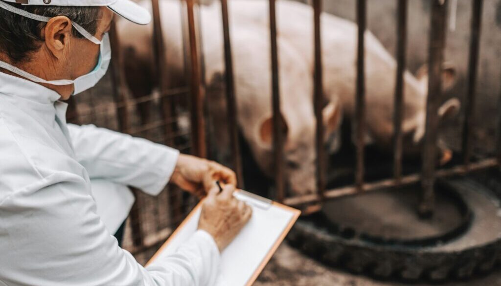 getty-images-j3JehK35Le0-unsplash
