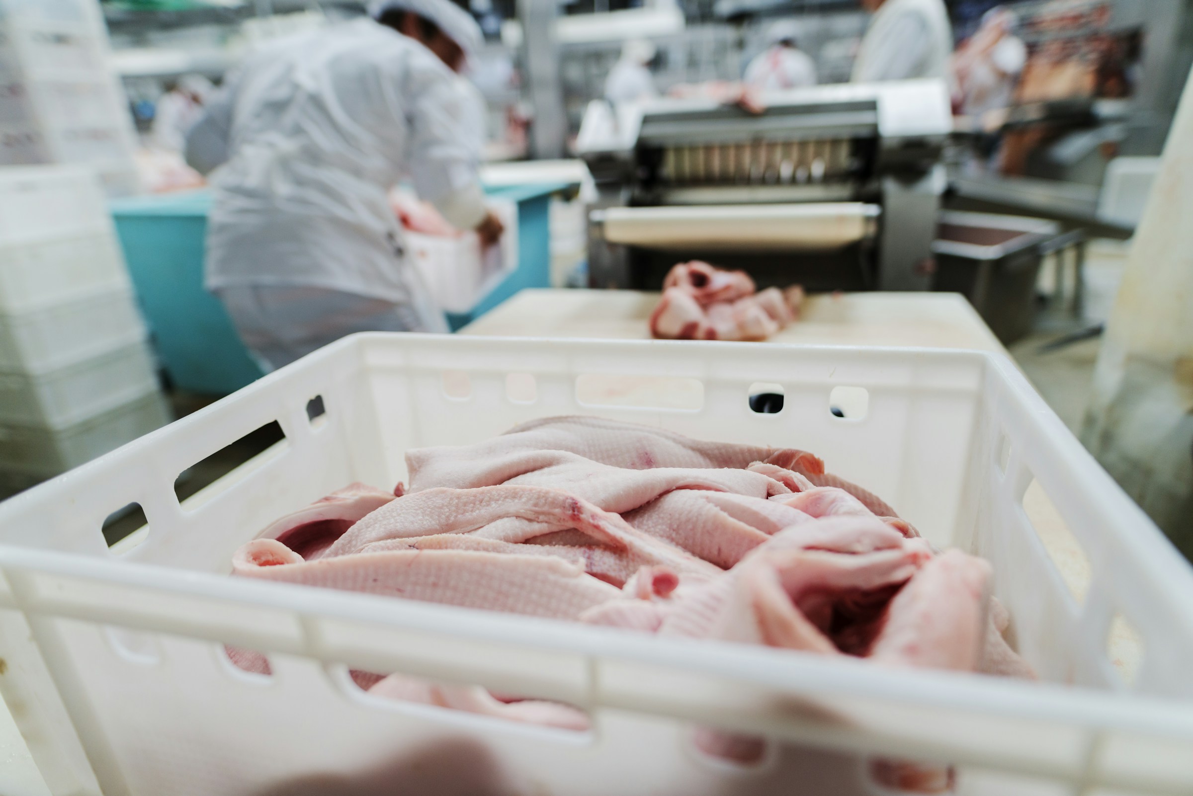More dangerous, drug-resistant salmonella rising in US…