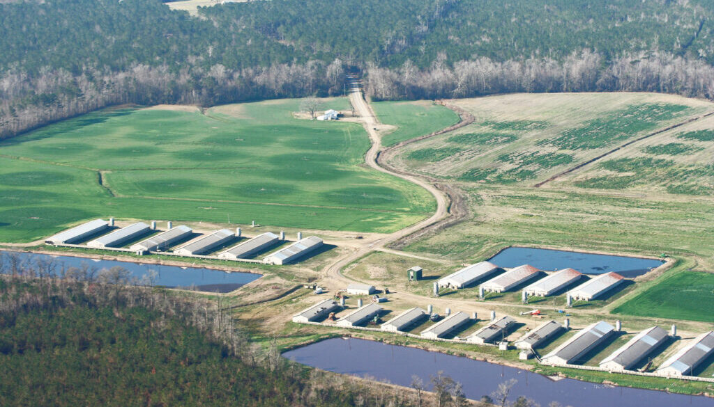 12662849753_7bf0484389_k