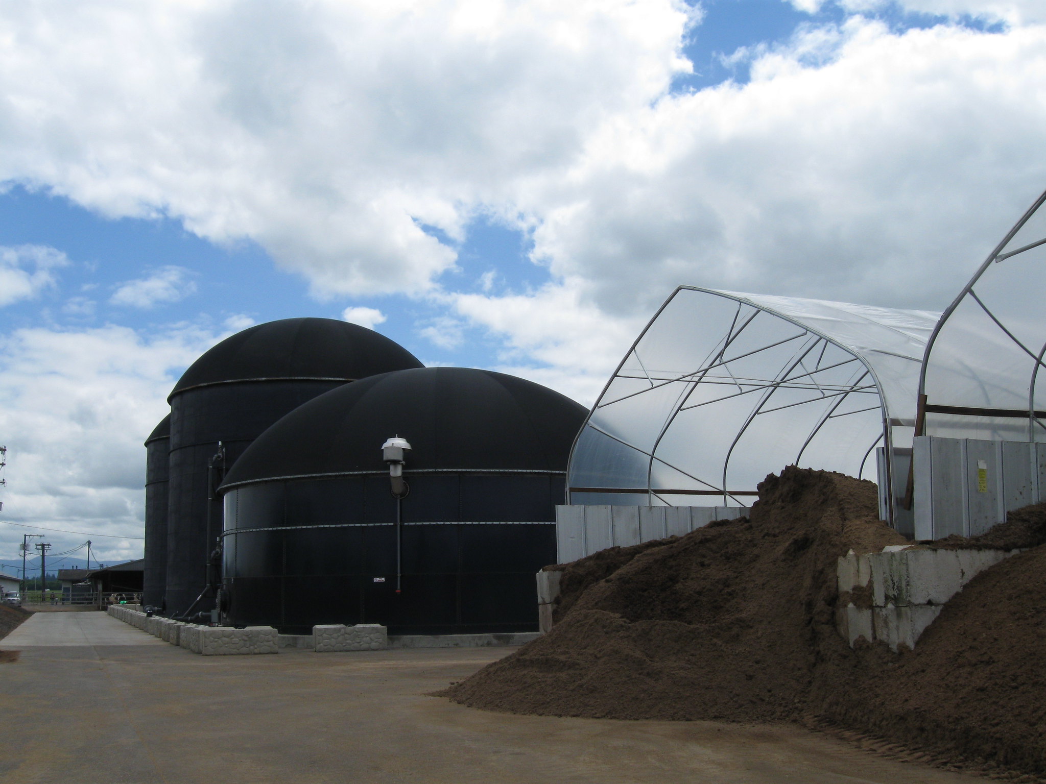 Federal clean fuel tax credit extends to gas from animal…