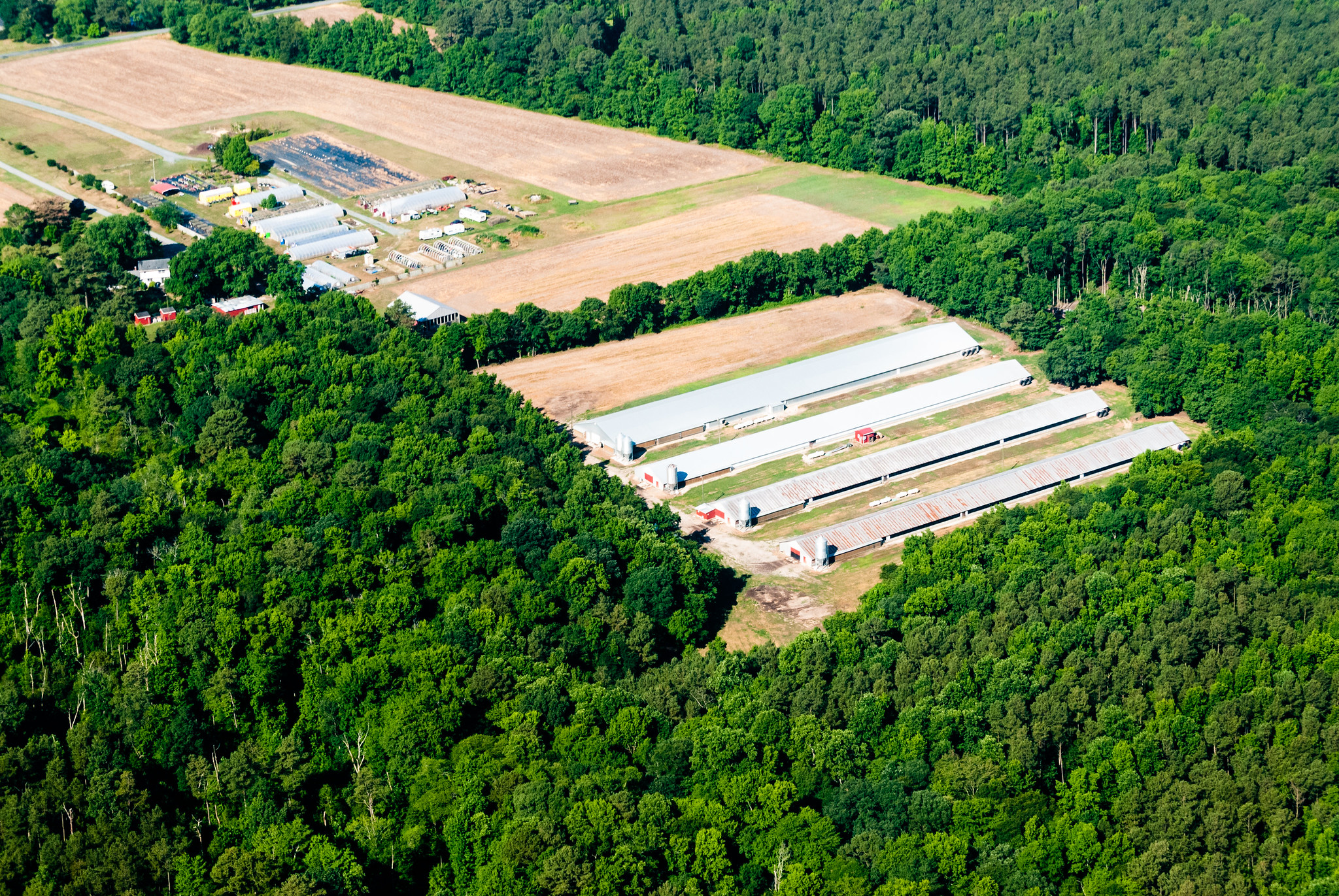Maryland fund to deal with CAFO manure wastes taxpayer dollars while ...