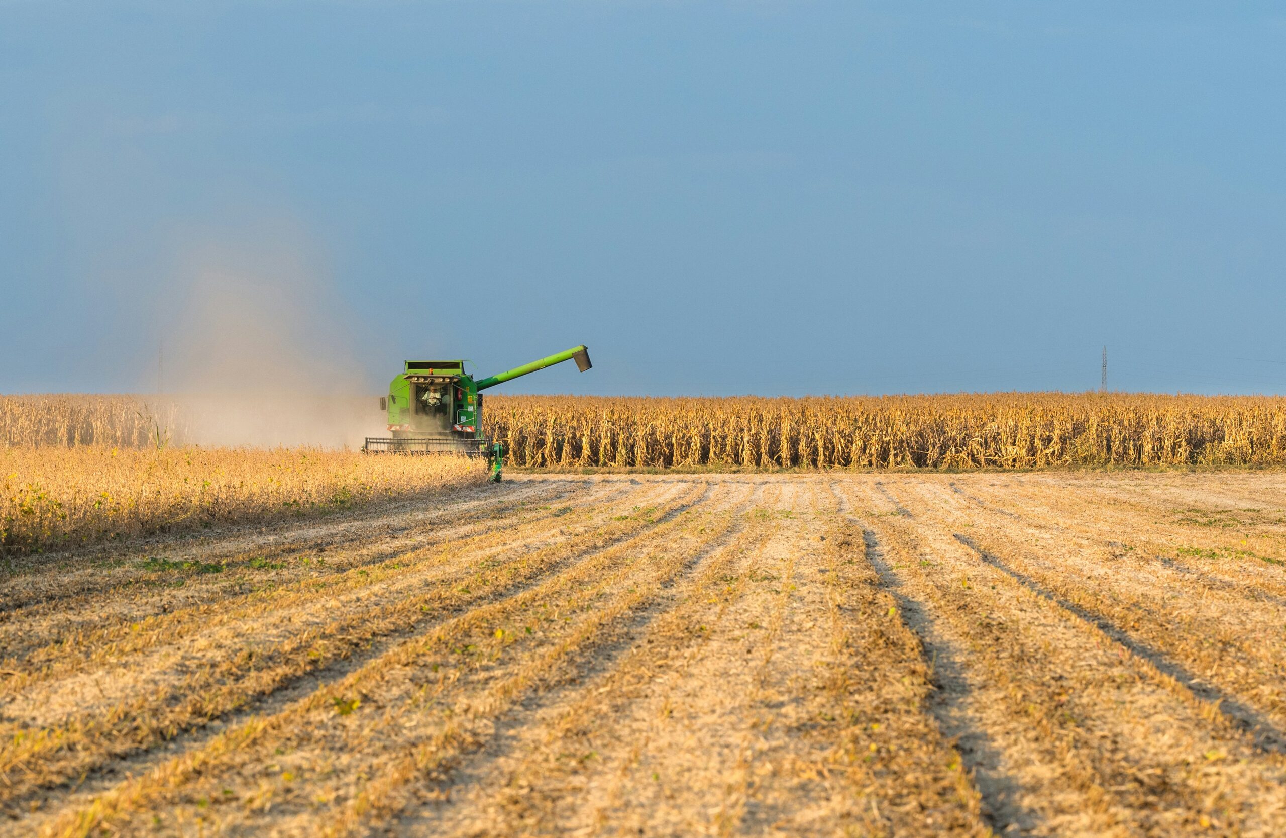 thenewlede.org - Carey Gillam - As EPA shrugs, California designates atrazine weed killer as cancer risk