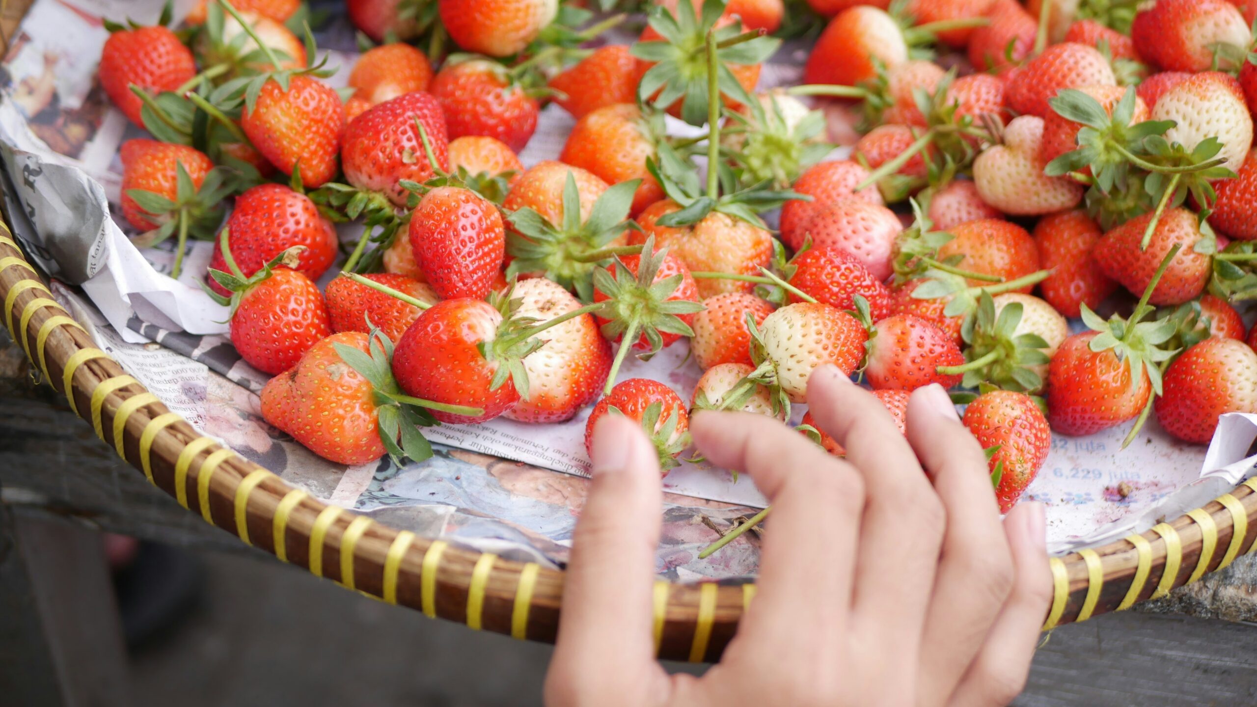 Petition calls for US actions to lower pesticide residues in food